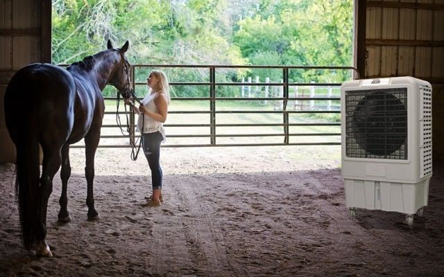 Enfriador_evaporativo_establo