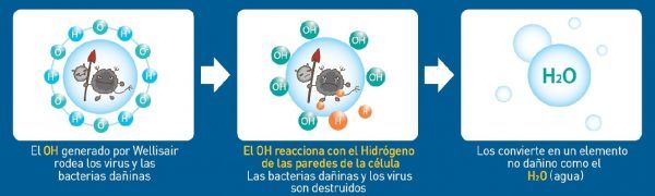 OH_RADICAL HIDROXILO