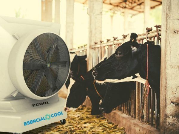 aire_acondicionado_evaporativo_establo