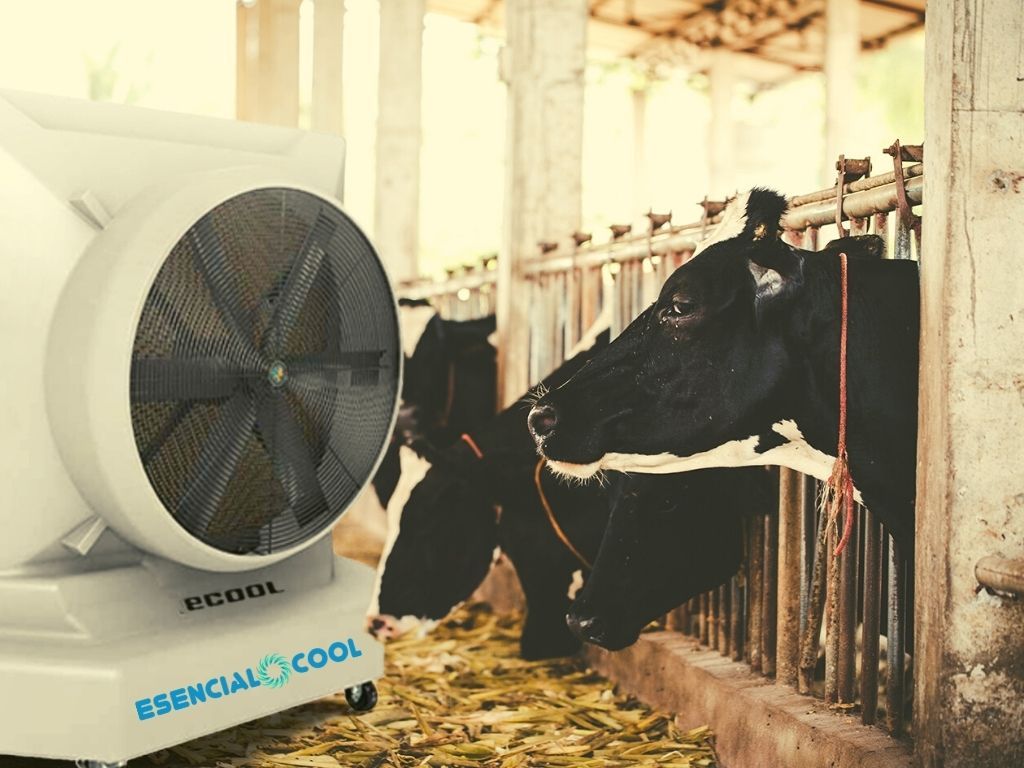 aire_acondicionado_evaporativo_establo