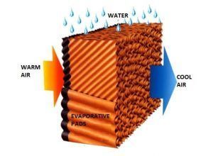 evaporative principle-