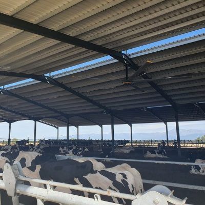 VENTILADOR_INDUSTRIAL_GANADERIA